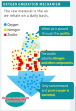 Load image into Gallery viewer, Oxy'z Oxygen Generator II (NEW)
