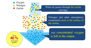 Mechanism of high concentration oxygen generator